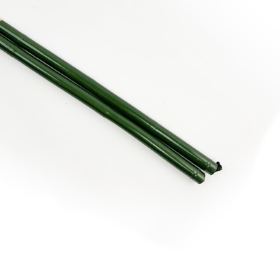 20cm hanno dipinto la decorazione verde di Rohi dei pali di bambù crudi di Pali