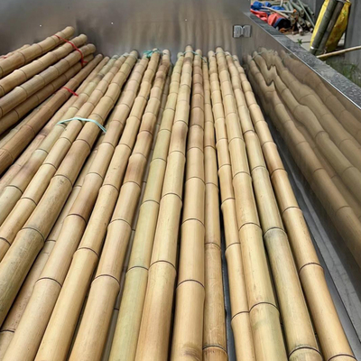 18 mm a 160 mm di diametro canna di bambù Moso palo di bambù Costruzione Agricoltura