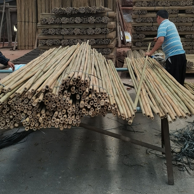 18 mm a 160 mm di diametro canna di bambù Moso palo di bambù Costruzione Agricoltura