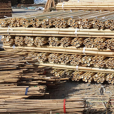 Pali di bambù di bambù a 3 pollici amichevoli di Eco Moso Palo per giallo della decorazione della pianta