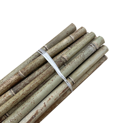 Diametro crudo naturale di Pali 2cm 3cm 4cm 5cm 6cm 8cm 10cm del bambù di Moso