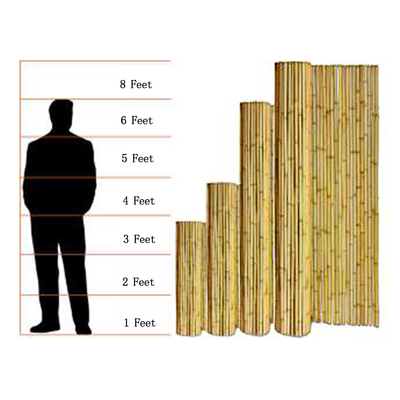 Serra del recinto di Screen Fencing For del giardino di bambù decorativo affumicato della scuola materna