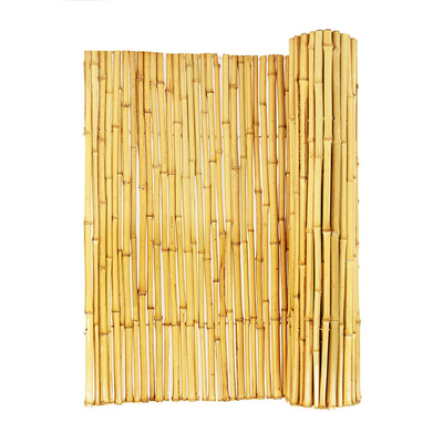 Serra del recinto di Screen Fencing For del giardino di bambù decorativo affumicato della scuola materna