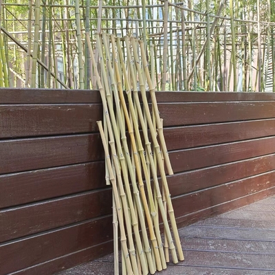 Giardino flessibile di bambù estensibile del traliccio di Pali che recinta per la decorazione 120*180cm del balcone