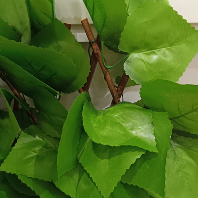 Decorazione artificiale di Garden For Outdoor del recinto di Telescopic Hedge Plastic del recinto