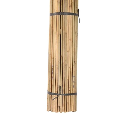 Bamboo Flower Sticks Garden Stakes per il supporto alle piante Decorazione giardino di fattoria