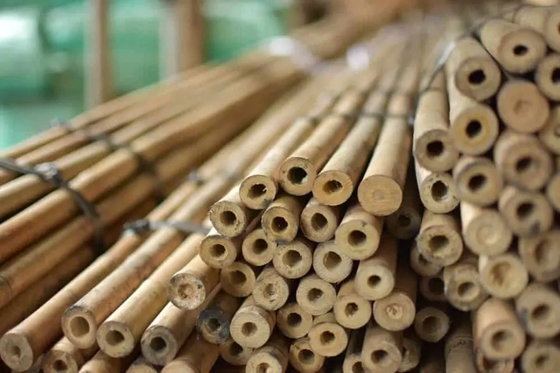 Coltelli di bambù da giardino naturale per piante interne ed esterne, coltelli di supporto per pomodori, fagioli, piante in vaso