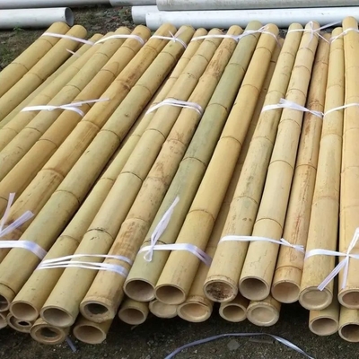 Bamboo Flower Sticks Garden Stakes per il supporto alle piante Decorazione giardino di fattoria