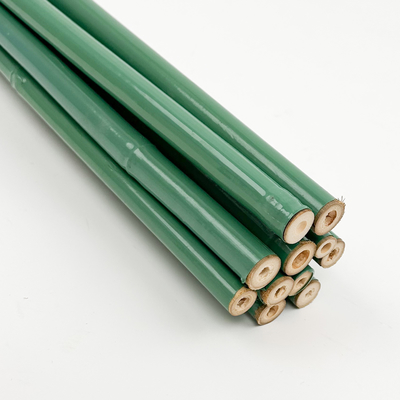 Sostituzione per fiori di bambù rivestito in PVC verde a misura