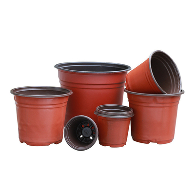 Sementeria di piante di plastica Pottini per le sementi Germinazione Sementeria in crescita