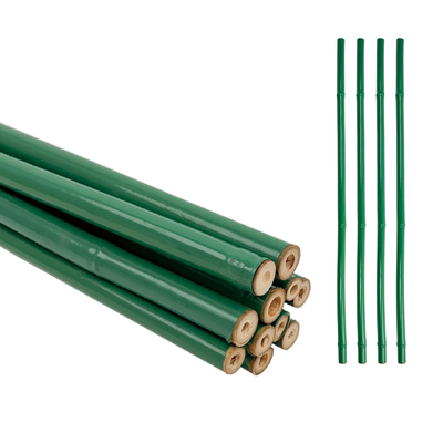 Sostituzione per fiori di bambù rivestito in PVC verde a misura
