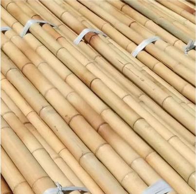 Natural Bamboo Color Moso Bamboo Pole for Planting Support with 10cm-600cm Length and 40mm-140mm Diameter
