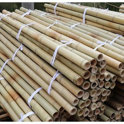 Natural Treated Moso Bamboo Pole - 3 Meters Long, 6-8cm Diameter, for DIY Construction, Fencing, Gardening and Decorative Projects
