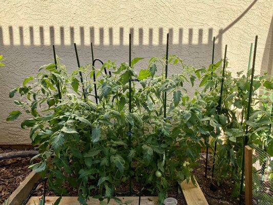 Colpi di metallo rivestiti di plastica Colpi di giardino verde per impianti di supporto per impianti di arrampicata
