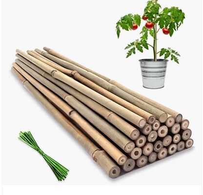 Paletti da giardino, paletti in bambù naturale da 18 pollici, paletti di supporto per piante con fascette, bastoncini di bambù per pomodori, fagioli, fiori, piante in vaso, piante rampicanti da interno ed esterno