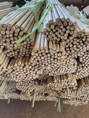 Natural Bamboo Stakes: The Strongest Renewable Support for Climbing Plants