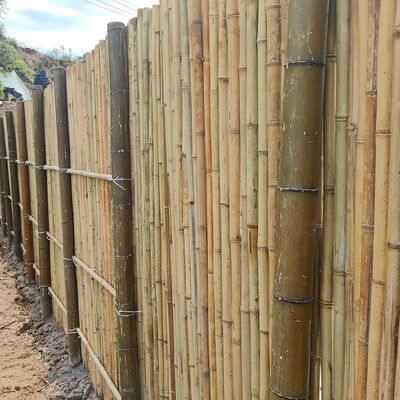 Rotolo di recinzione in bambù naturale impermeabile e resistente per giardino e paesaggistica