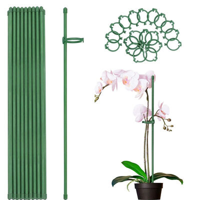 Colpi di metallo rivestiti di plastica Colpi di giardino verde per impianti di supporto per impianti di arrampicata