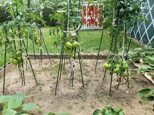 Colpi di metallo rivestiti di plastica Colpi di giardino verde per impianti di supporto per impianti di arrampicata