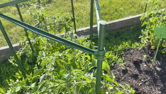 Colpi di metallo rivestiti di plastica Colpi di giardino verde per impianti di supporto per impianti di arrampicata