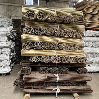 Pali di bambù grezzi decorativi ecologici diametro 0,8 cm x lunghezza 100 cm
