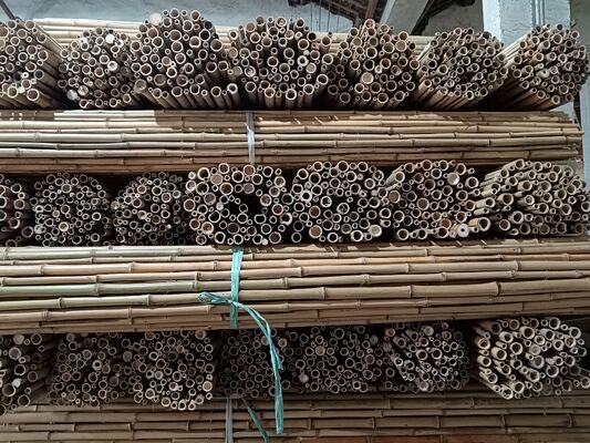 Pali di bambù grezzi decorativi ecologici diametro 0,8 cm x lunghezza 100 cm