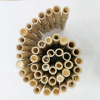 Bordo decorativo per giardino esterno decorativo per recinzione corta in bambù flessibile naturale