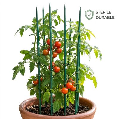 Pali di fiori di bambù naturali Supporto per piante da giardino biodegradabili Dimensioni personalizzate Colori per asili nido