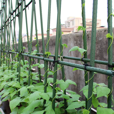 Colpi di metallo rivestiti di plastica Colpi di giardino verde per impianti di supporto per impianti di arrampicata